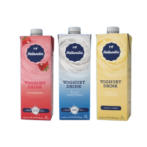 Hollandia Yoghurt Big